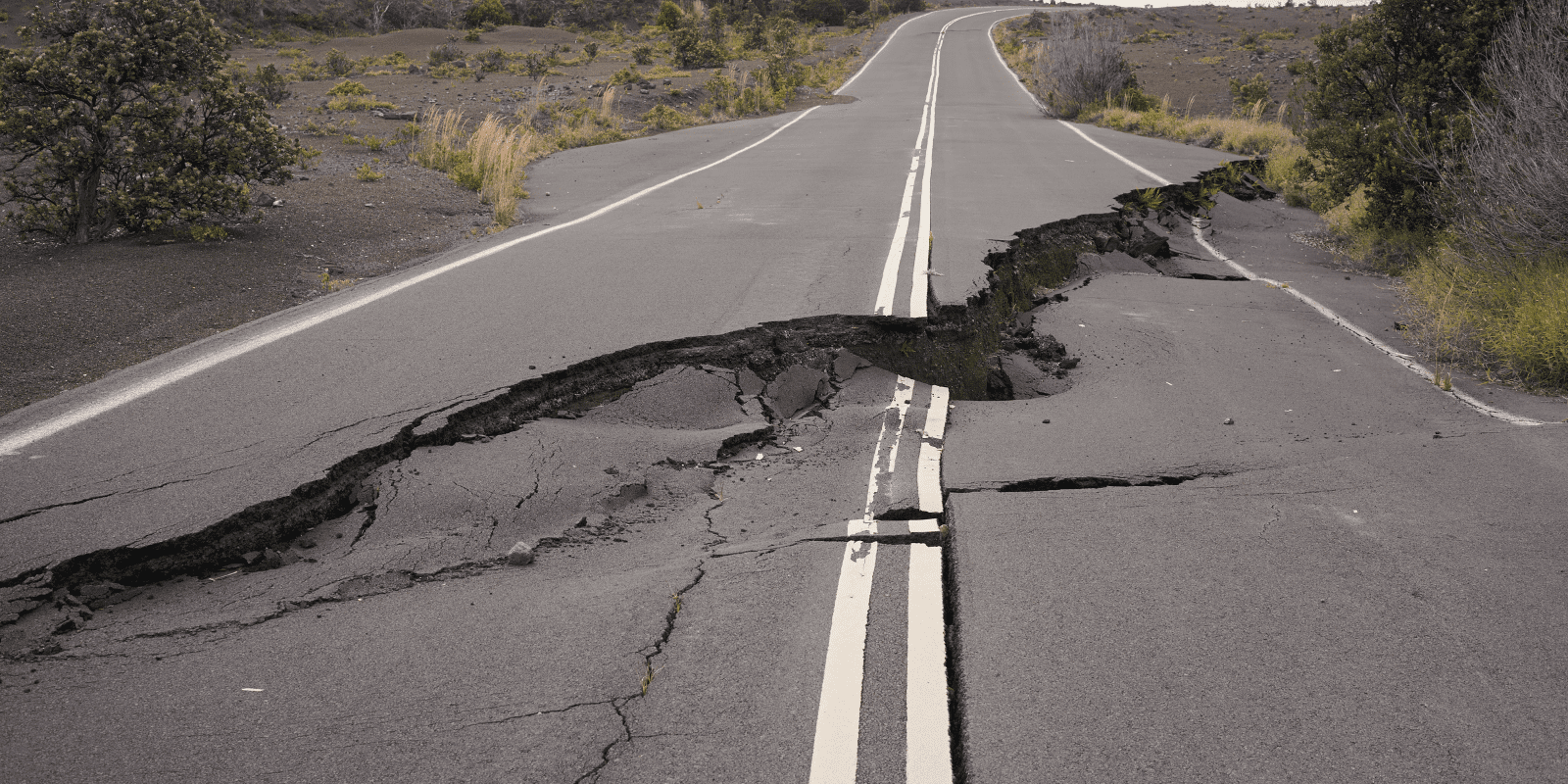 Scadenza CAT NAT piccole e micro imprese