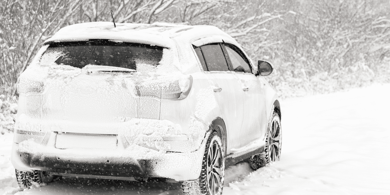 Protezione auto invernale